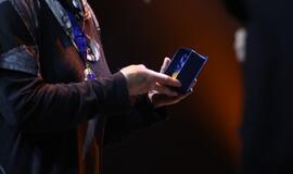 Gintarinės snaigės