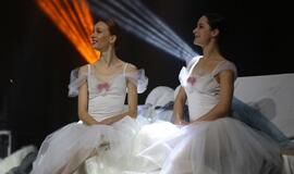 Gintarinės snaigės