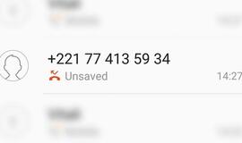 Skambutis iš užsienio gali būti sukčių afera