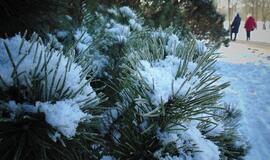 Sulauksime snieguotų Kalėdų