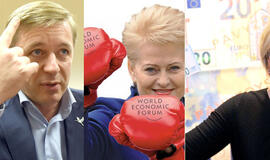 Svarbiausi 2018-ųjų Lietuvos politikos įvykiai