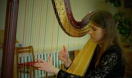 Arfos ir styginių skambesiai