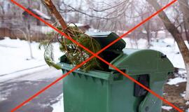 Artėjant Trijų karalių dienai: kur išmesti eglutes?