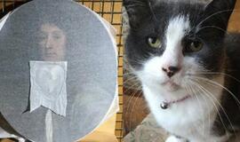 Brito katė sugadino XVII amžiaus paveikslą