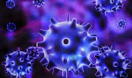 Klaipėdoje skelbiama gripo epidemija