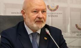 Liberalai palaiko Vyriausybės siūlymą leisti įmonėms registruoti nelietuviškus pavadinimus