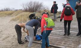 Sveikuolių maudynės