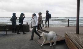 Sveikuolių maudynės