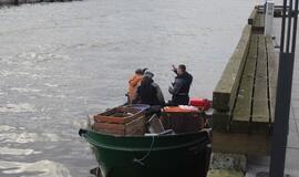 Stintų viliotinis glumina klaipėdiečius