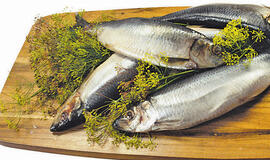 Mažosios Lietuvos žuvys