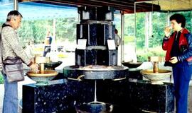 Palanga siūlys naują turistinį perliuką