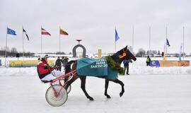 Finišavo tradicinės ristūnų žirgų lenktynės „Sartai 2019“