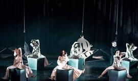 Meilė vedanti į beprotybę - „Žizel“