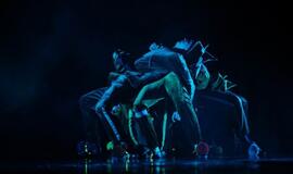 Klaipėdoje prasidėjo dinozaurų manija