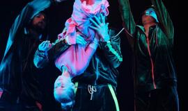 Klaipėdoje prasidėjo dinozaurų manija