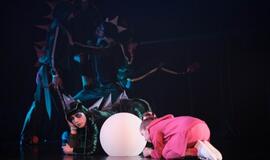 Klaipėdoje prasidėjo dinozaurų manija