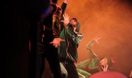 Klaipėdoje prasidėjo dinozaurų manija