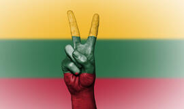 Valstybės vėliava, herbas ir himnas – kodėl jie tokie?