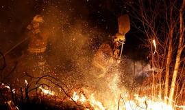 Ispanijos šiaurėje šėlsta miško gaisrai