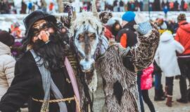 Klaipėdos Užgavėnės – Morės rinkimai