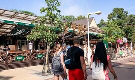 Parduodamas skandalingas „Laukinių vakarų salūnas“