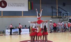 LSKL Mažosios taurės finalas: LCC - KU - 90:86