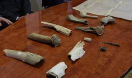 Uostamiesčio mokslininkai tyrinės vertingą kolekciją