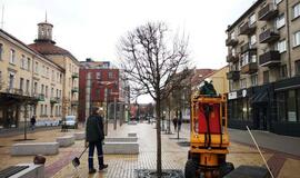 Prasidėjo planiniai miesto tvarkymo darbai