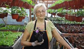 Gėlių auginimas priekuliškei teikia jėgų