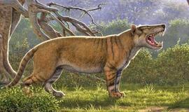 Kenijoje rasta didžiulio iškastinio "liūto" liekanų