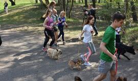 Bėgimas su šunimis