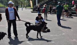 Bėgimas su šunimis