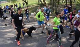 Bėgimas su šunimis