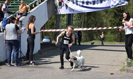 Bėgimas su šunimis