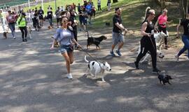 Bėgimas su šunimis