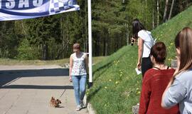 Bėgimas su šunimis