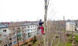 Saulius Kairys: "Nori išsaugoti ir apginti medžius, bet nenori jų prižiūrėti"