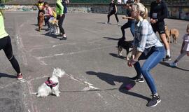 Bėgimas su šunimis