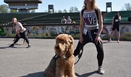 Bėgimas su šunimis