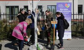 Klaipėdoje auga Vilties medžių sodas