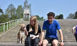 Bėgimas su šunimis