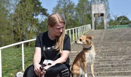 Bėgimas su šunimis