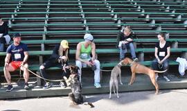 Bėgimas su šunimis