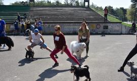 Bėgimas su šunimis