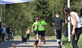 Bėgimas su šunimis