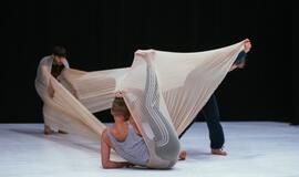 „KlaipėDanse“ šokio dirbtuvės