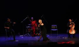 Medinos darbuotojų diena