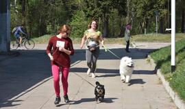 Bėgimas su šunimis