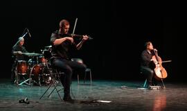 Medinos darbuotojų diena