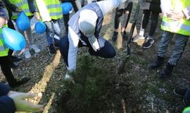 Klaipėdoje auga Vilties medžių sodas